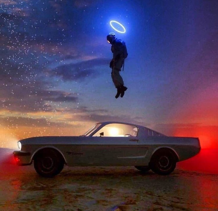 mrmilchick's tweet photo. i need a car.
i want a car. https://t.co/pZR6JoFbmY