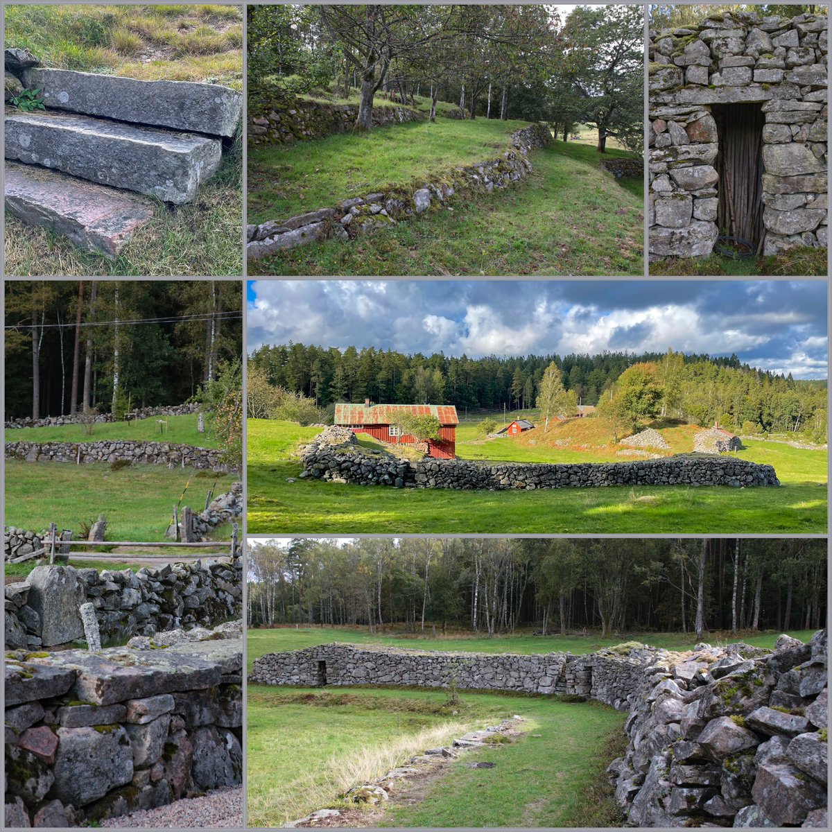 Björkekullens naturreservat, Halland. Torpare nyröjde här under 1800-talet. Sanslösa mängder sten togs bort ur markerna och användes sedan på ett ovanligt kreativt sätt för att gestalta landskapet. Visning imorgon på Kulturarvsdagen!   lansstyrelsen.se/halland/om-oss…