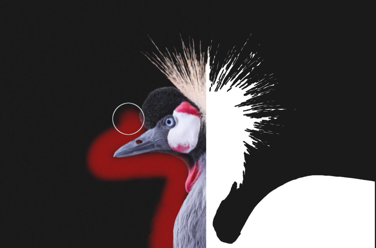 Edge-Aware at work 

Free download - irix.studio

#Camera #photography #editingphoto #wildlifephotography