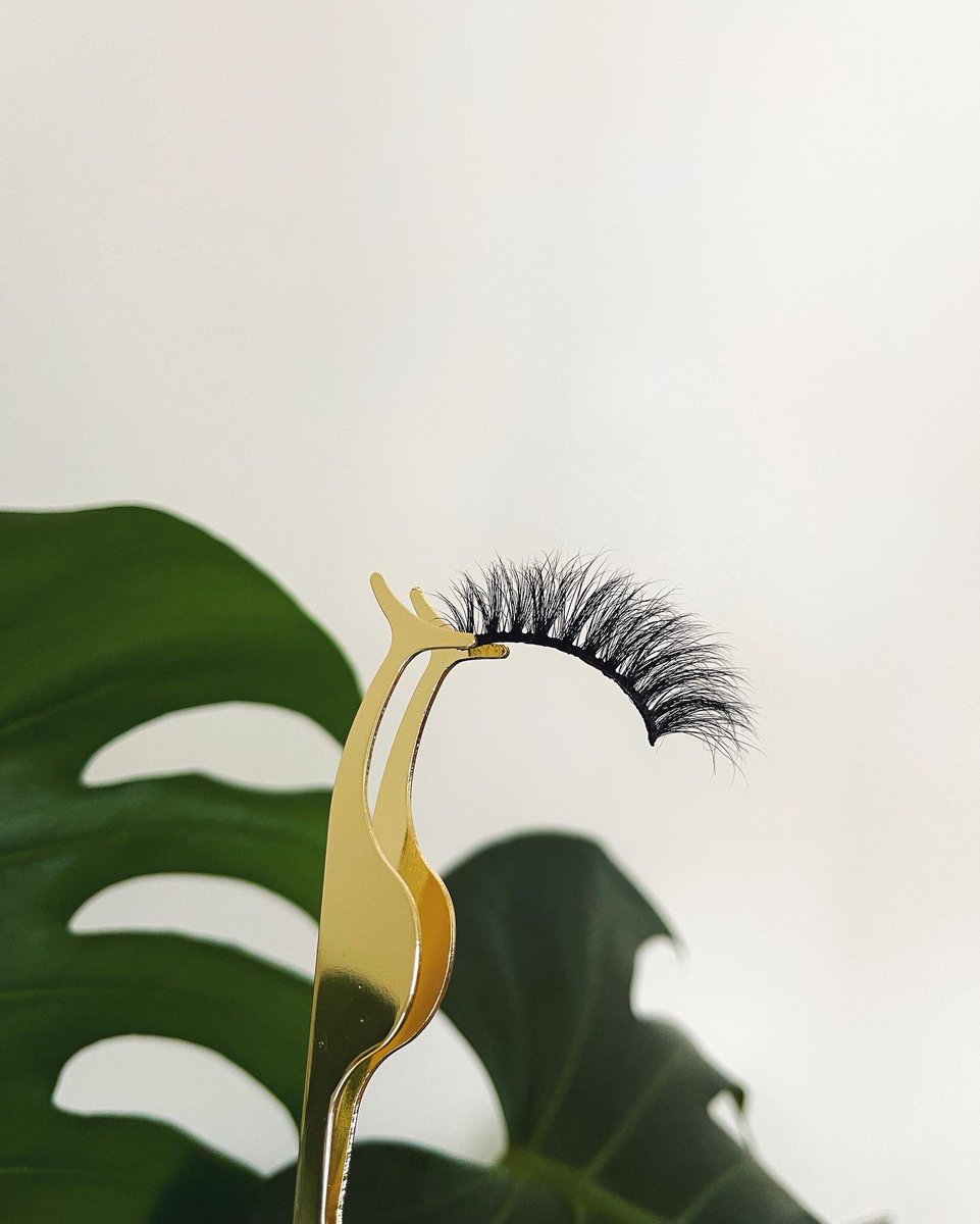 _thisisamina's tweet photo. I gave birth to a whole baby at 18, now that baby is almost 18 &amp; about to give birth to her own baby. A whole beauty business! So proud of my baby girl! 

Lavoi Beauty launching TOMORROW! Sunday 12th September @ 6PM BST. Worldwide shipping! 
https://t.co/NxhQqH2j4P https://t.co/N6SH38X3H6