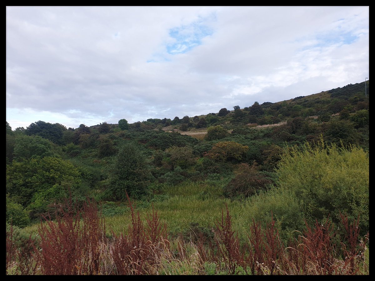 TheCemetress's tweet photo. Happy Saturday Everyone!! I hope you are all well 😊✌🏽🖤 I've just been adapting into my new surroundings and I can honestly say I really do live on 'Love Street'. Feels like home 🖤🖤🖤
#TheCemeteryUpTheHill
#TheHills
#HiAutumn
#RidingWithTheWind
#MissedYouAll https://t.co/zpUliTBbVQ