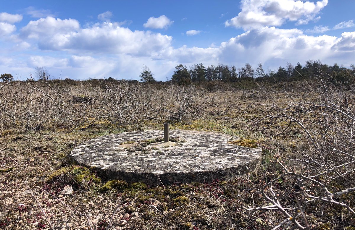EmmaRydner's tweet photo. Vet ni vad det här är? Det är en del av Ölands testfält - en världsunik anläggning för kontroll av flygkamerors noggrannhet. Testfältet vittnar om Sveriges storhetstid inom forskning kring flygfotografering och kartframställning. 
(1/2) 👇 https://t.co/X9tiASF7hK