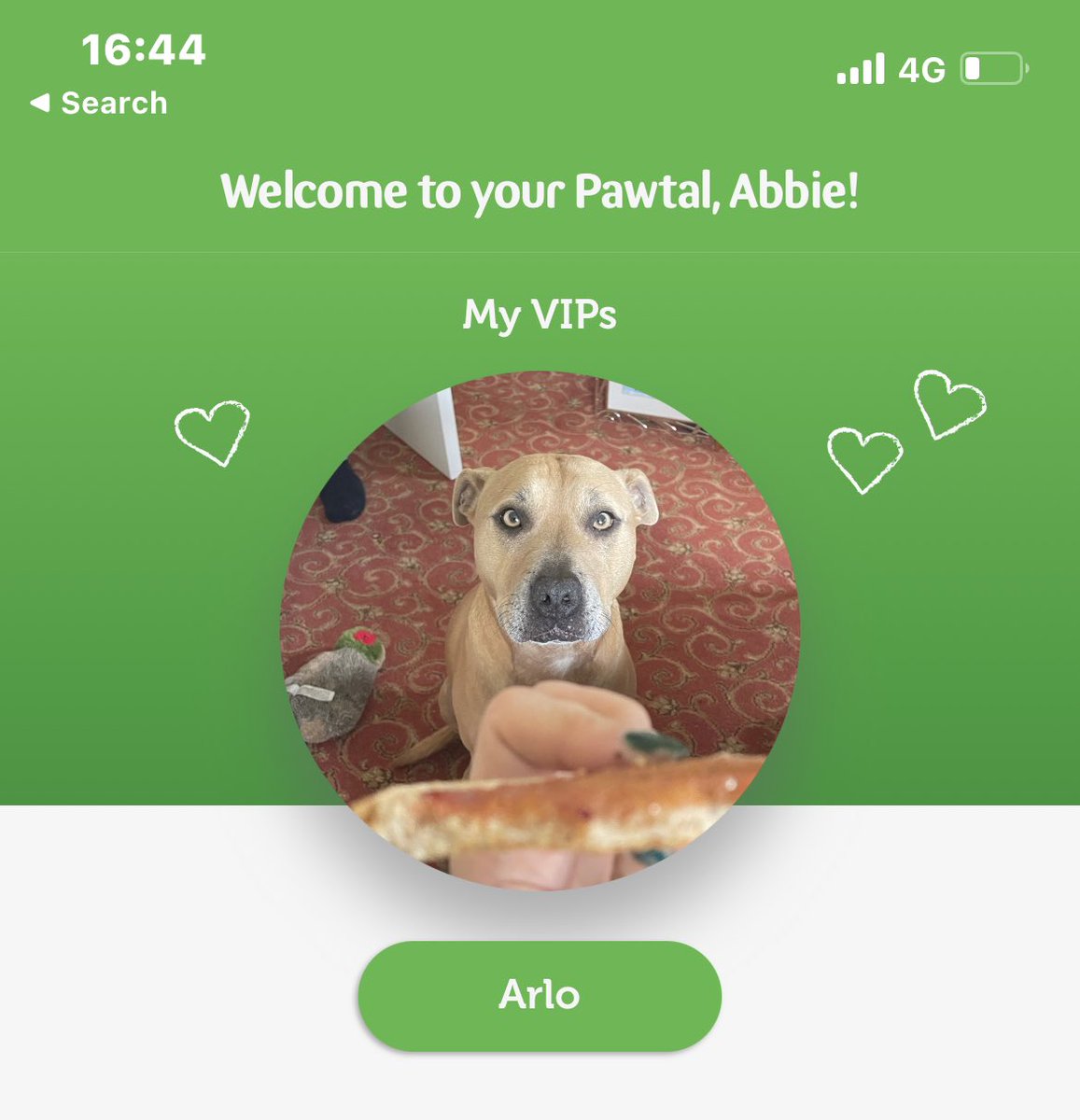 Today we got a pawtal with <a href="/PetsatHome/">Pets at Home</a>, the customer service was amazing. Signed up for monthly essentials to keep me healthy delivered to my door, and no this is not an ad, we’re just grateful for the suppawt! 🐾♥️ #dogsoftwitter #healthydog #petsathome #abbieandarlo