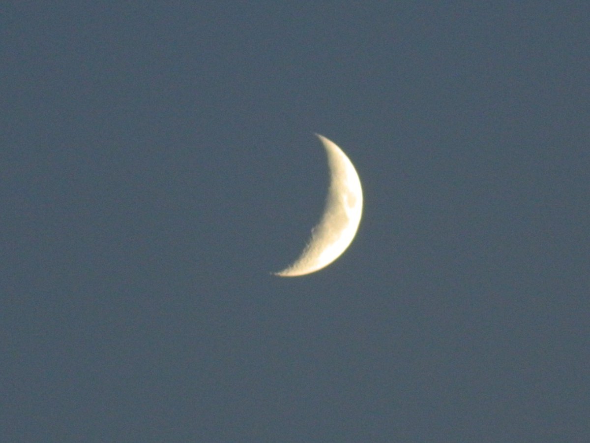 ghostyyaltair's tweet photo. The moon today 🤍
#moon #PhotoOfTheDay #photographer #photograghy #photo #camera #nature #StormHour #weekend #youngmoon https://t.co/l62HUfZeYP