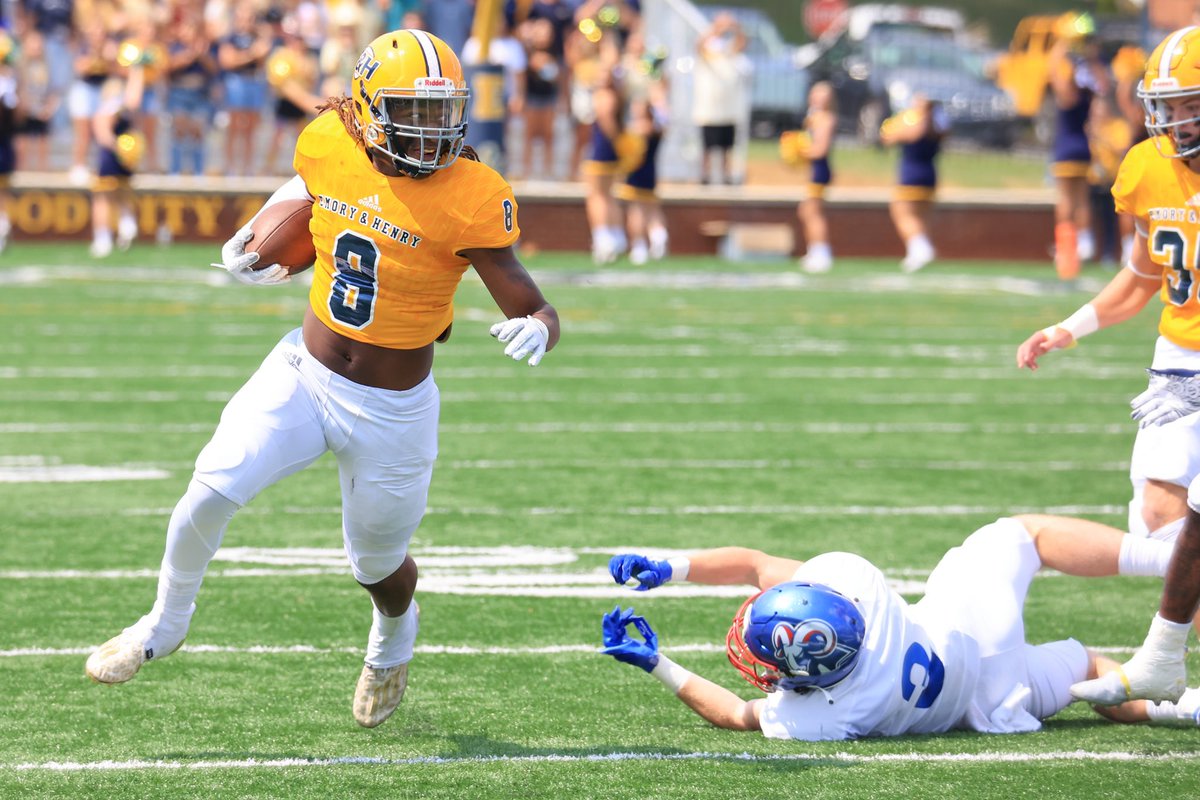 Emory & Henry Wasps tweet media