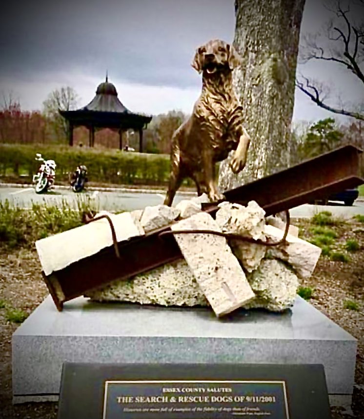 RealJamesWoods's tweet photo. And never forget these remarkable creatures, the search and rescue dogs of 9/11โฆ https://t.co/cII7rK8OqP