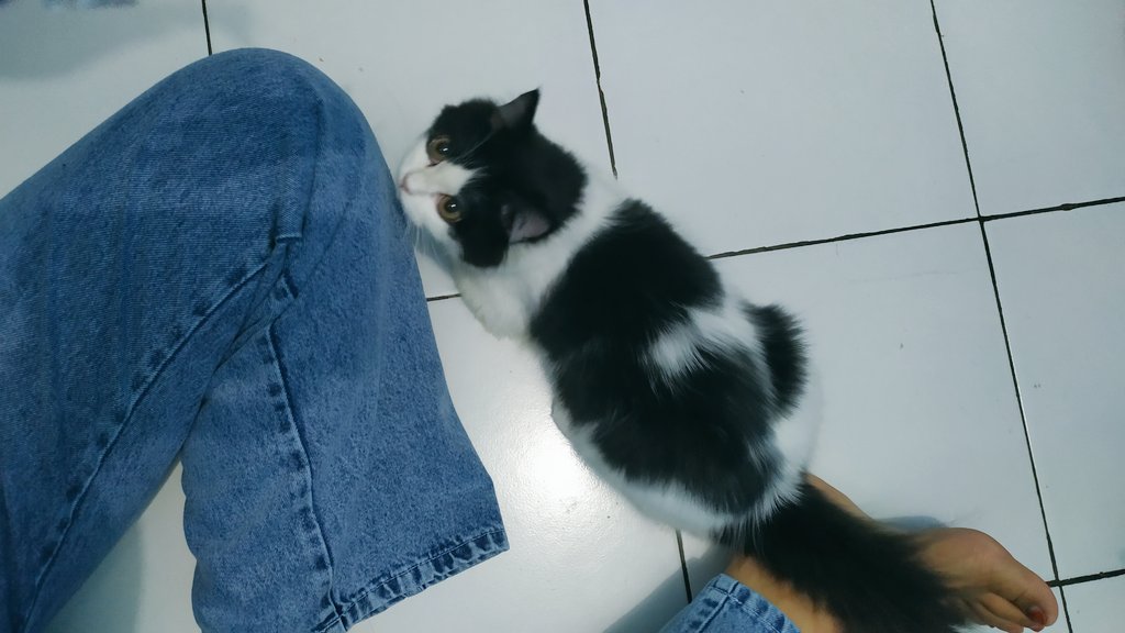 change18life's tweet image. Cowwie 🥺
Bahagia disana ya jgn nakal, jujurly aku kesepian sad tanpa km😫😭
Tp ada hal lain yg memungkinkan kita harus berpisah~  

#Lebaydikit
#savememory 🖤