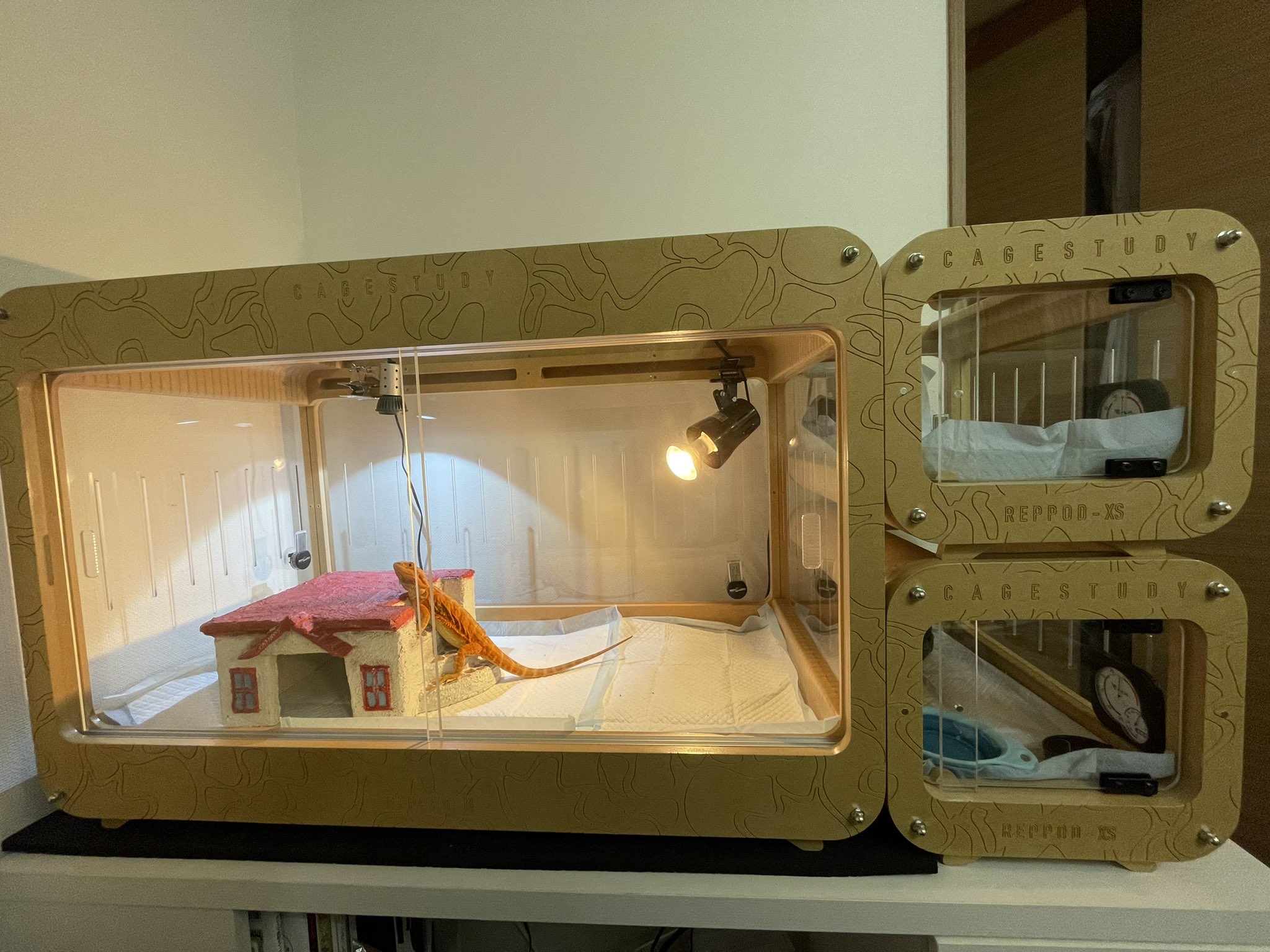 cagestudy REPPOD-S ケージスタディ 爬虫類ケージ 新登場】デザイン性抜群!!スタイリッシュな爬虫類ケージ爆誕