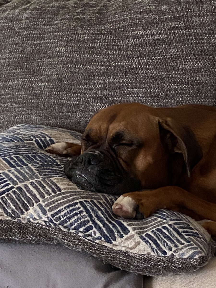 Jim Ryan tweet media