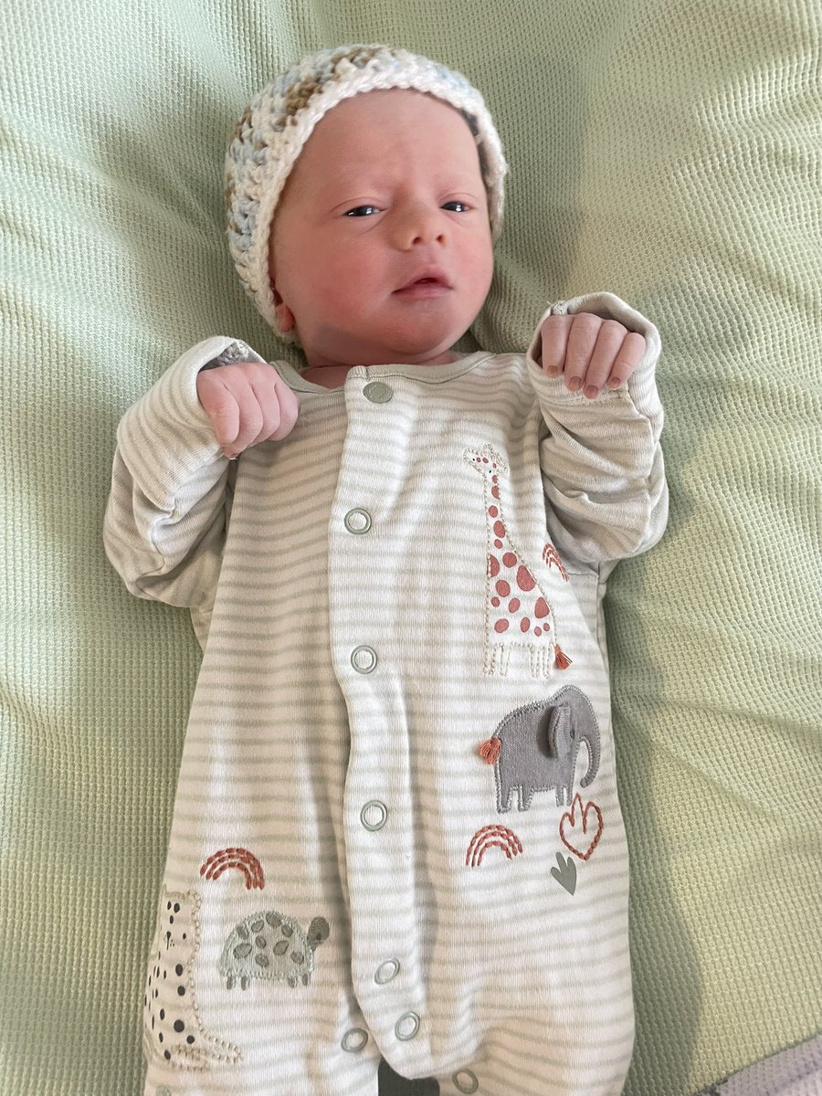 Nick Carson tweet media