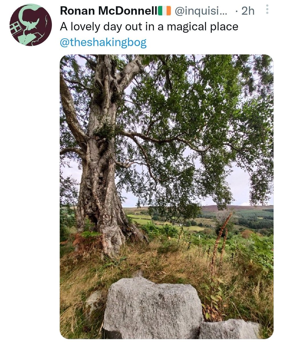 theshakingbog's tweet photo. We've had lovely feedback today from friendso, visitors and attendees. Thank you all.

Special thanks to our speakers, our @FightingWordsIE facilitators, our volunteers, the @mermaidarts, @GlencreeCentre and @Aurora_Glencree venue staff and @LiveStreamIRL and @RuralVagabonds too. https://t.co/eP4XwQeAcv
