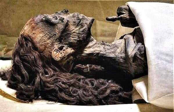 archeohistories's tweet photo. The Elder Lady.
Ancient Egyptian Queen Tiye's curly hair 3359 years later.

#archaeohistories https://t.co/4dnj3Q88LZ