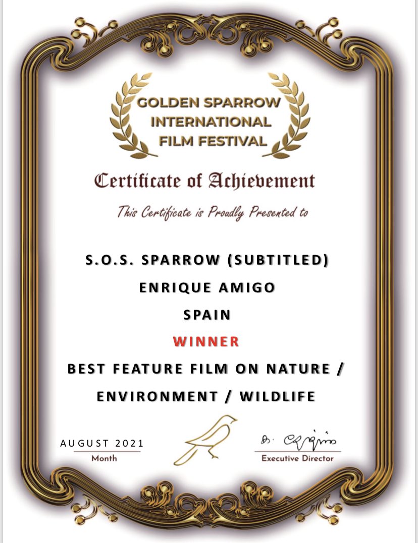 No teníamos ni idea que en la India un humilde gorrión fuera tan valorado, y nos encanta. Allí tuvieron la iniciativa del Día Mundial del gorrión.
Nuevo Premio a la mejor película medioambiental para SOS Gurriato en India 💪🏼 youtu.be/sT9xfGY2RB4
#PlanetazulProducciones