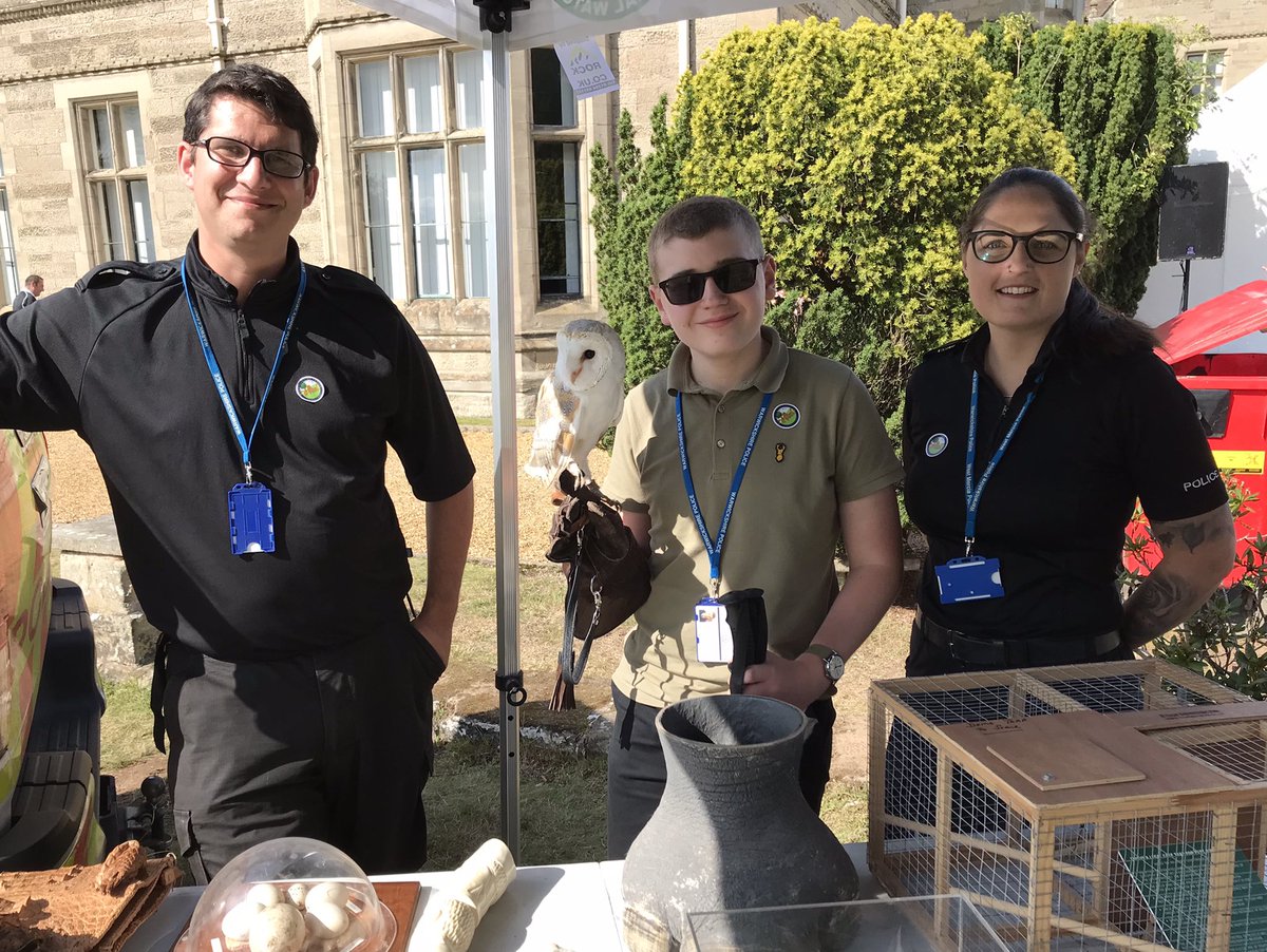 Alexander's Journey tweet media