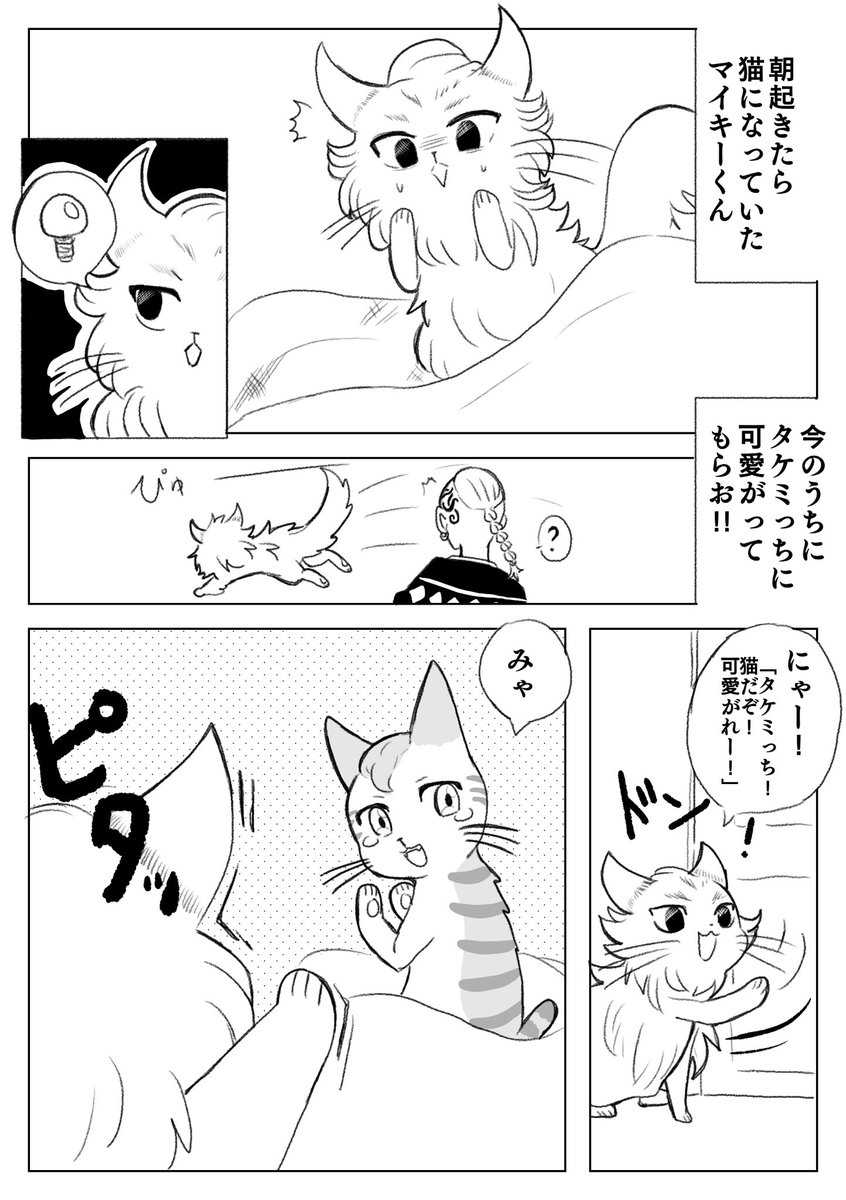 猫になったマイ武 