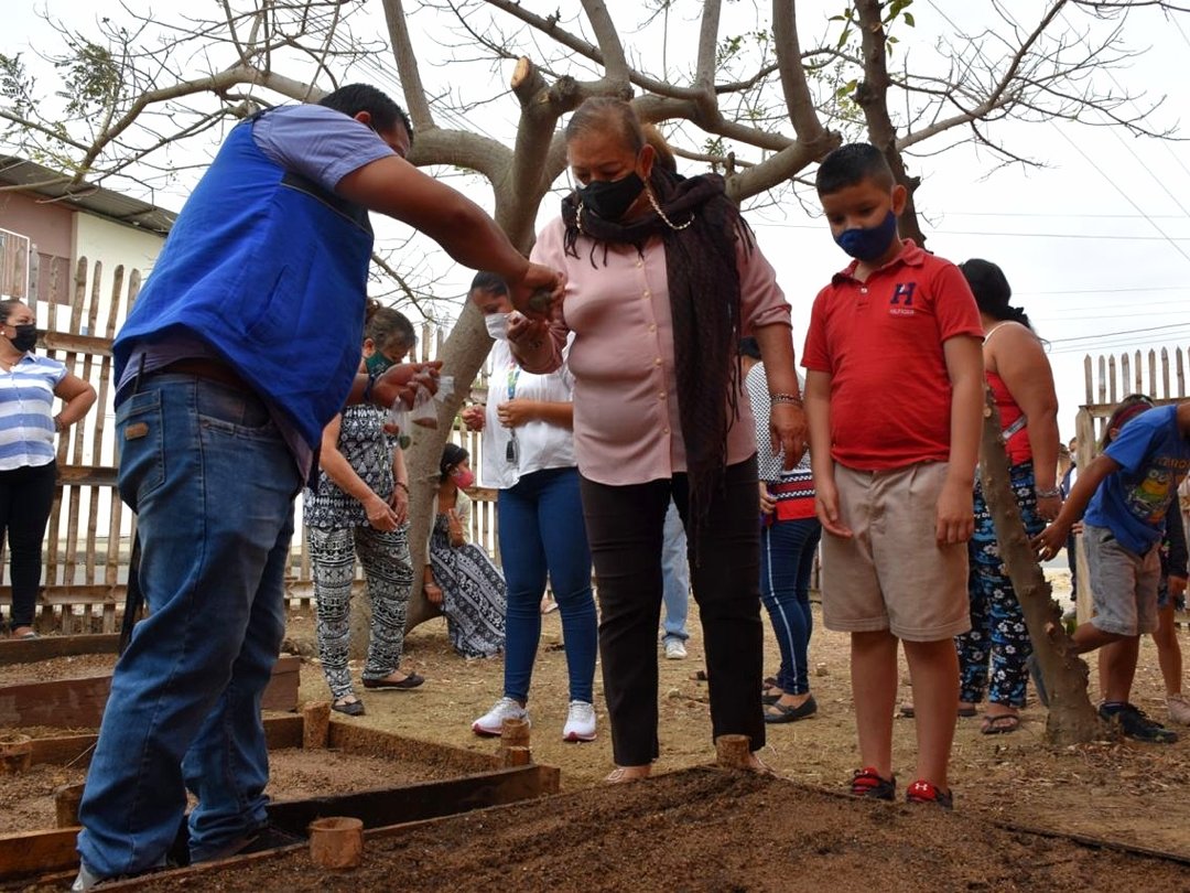 MisiondelCambio's tweet photo. Huertos comunitarios: cosechando alimentos orgánicos.

Nada más satisfactorio que sembrar tus propios alimentos y luego comerlos, sabiendo que son el fruto de tu esfuerzo y dedicación. https://t.co/u8eJvVXQkd