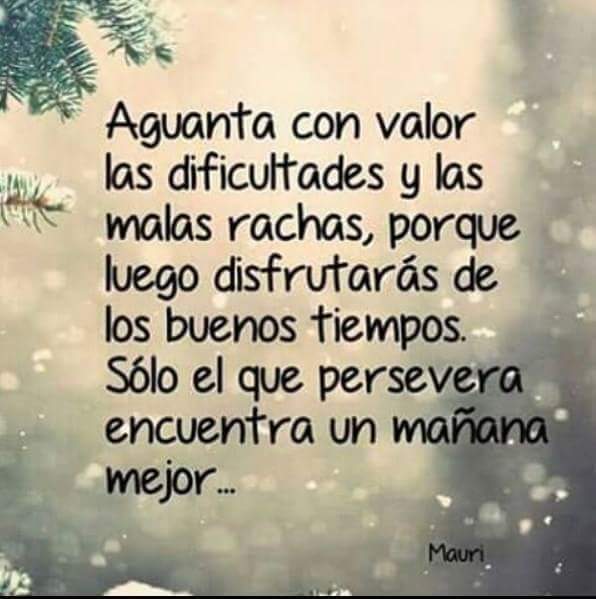 lio1832's tweet image. 