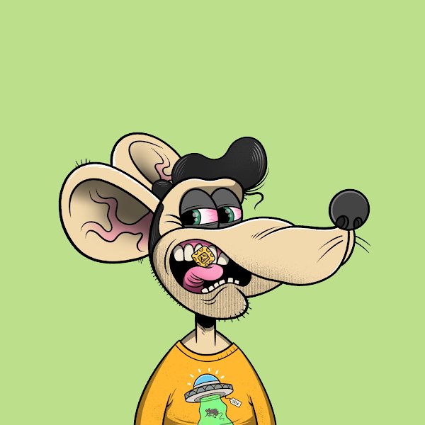 MrElvishPiper1's tweet photo. @DrKhil @4ThangsPodcast @SewerRats_NFT Who gave you that black eye???? You in the #ratpack now. We gotta go get some #ratvengence on them.
#rattattack https://t.co/0hJid1Xi0V