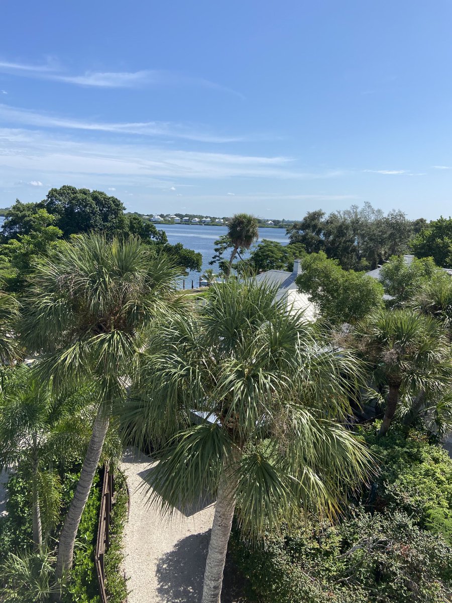 MarcVanDam's tweet photo. View from a very old water tower on #cabbagekey , one of the islands in the Pine Island sound in South West Florida - we happily drive an hour to boat this insanely beautiful and remote area 🌴🌴 #nature https://t.co/R8xbJn5WZy