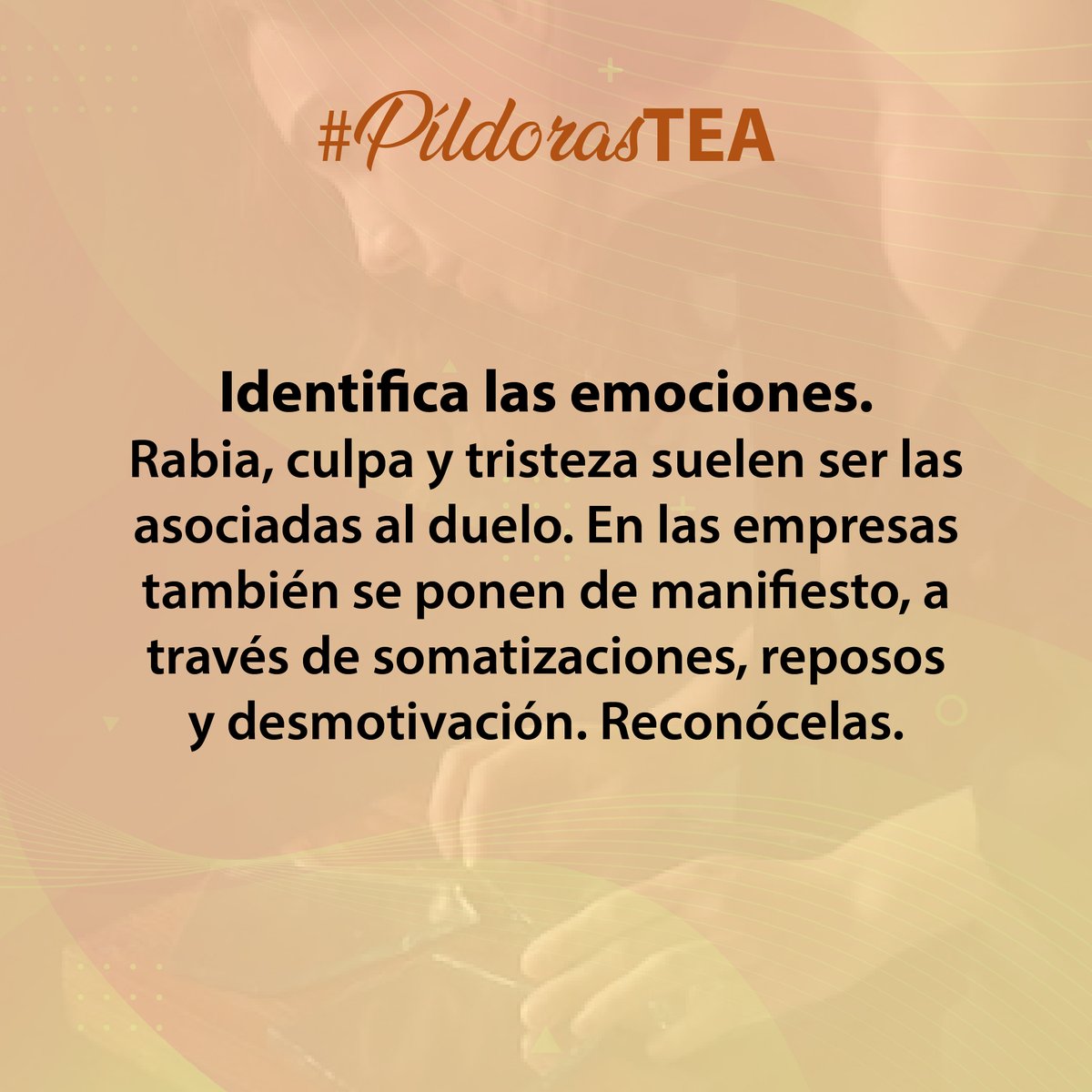 TEAlatam's tweet photo. #PILDORASTEA
- Duelo en las empresas -
El bienestar psicosocial en las organizaciones está en juego. 
Los líderes pueden abordar a sus equipos con algunas herramientas, y ofrecer apoyo en este tránsito que nos ha tocado vivir en el planeta.
https://t.co/0YLXzgoqlR https://t.co/bTgwEw2767