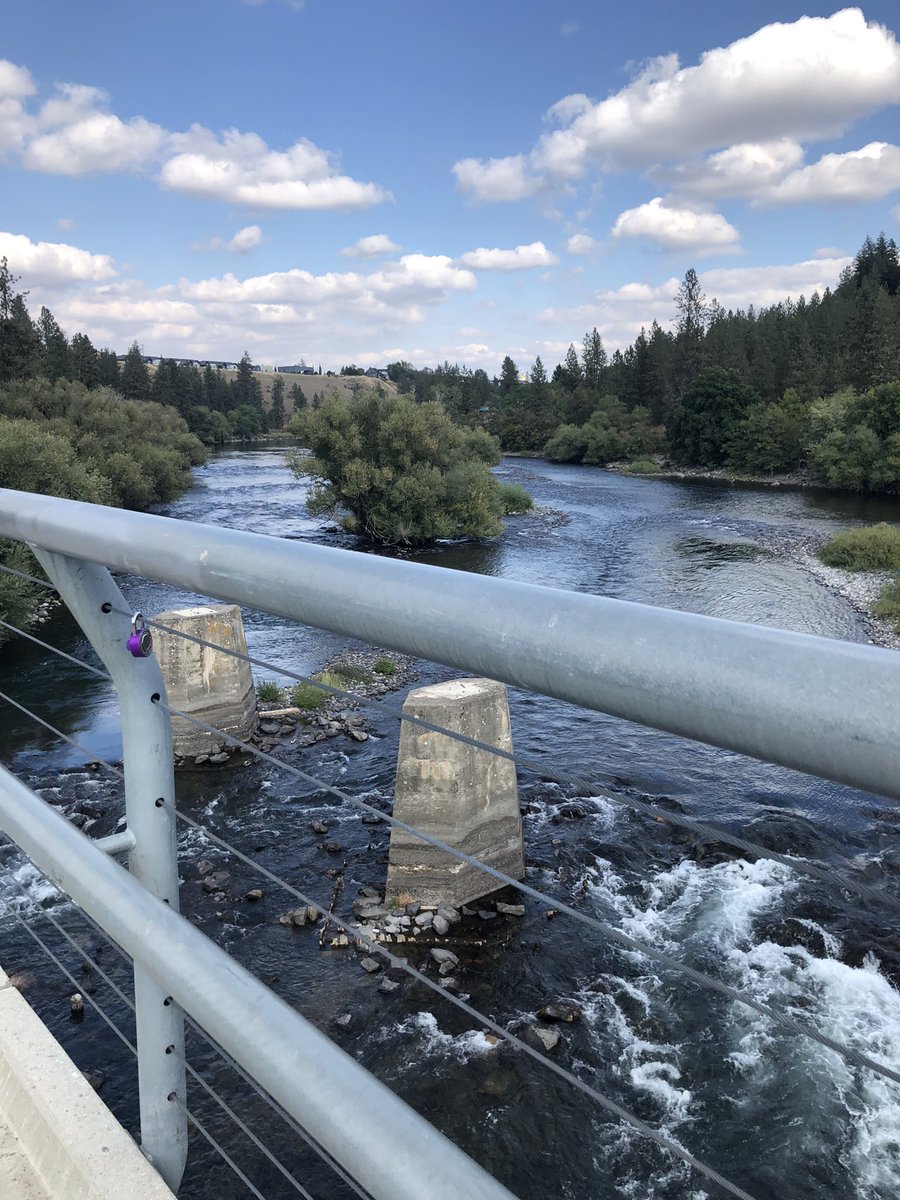 Amanda Catala tweet media