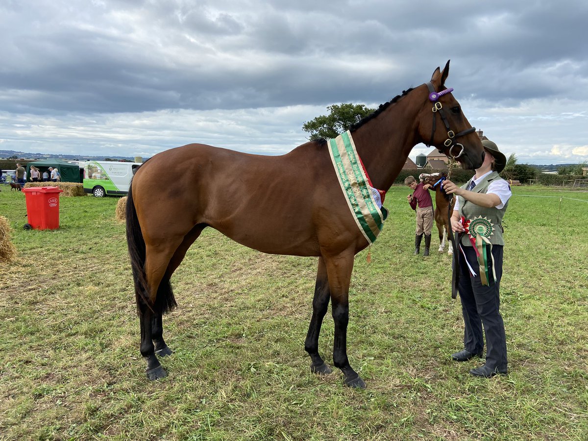 💜💜super Sam Cavallaro becoming Show Champion at our local show today. His first ever show.
