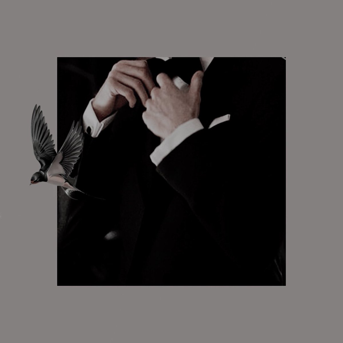 autumnfantsy's tweet photo. ⠀
⠀⠀  ⠀⠀⠀⠀  *   *   *
⠀⠀⠀𝒊  𝒎𝒊𝒈𝒉𝒕  𝒃𝒆  𝔂𝒐𝒖𝒏𝒈,
⠀⠀⠀𝐛𝐮𝐭  𝒊  𝒂𝒊𝒏'𝒕  𝖘̲𝒕𝒖𝒑𝒊𝒅
⠀⠀⠀ ────────
⠀   #LunnorWeddingParty https://t.co/8nXyAOQ4Y7