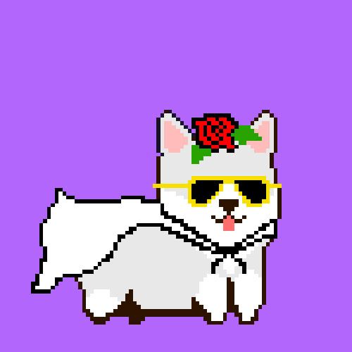 Solgis_NFT's tweet photo. @0xTang @SolanaMBS @DegenApeAcademy @thugbirdz Solgis! https://t.co/RXPfZ1BI7N