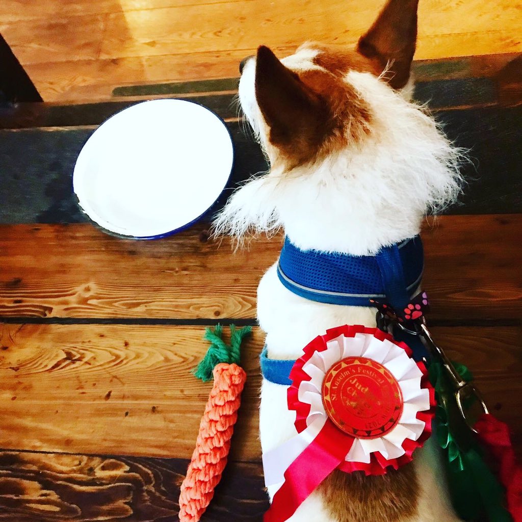 NewsfromBedlam's tweet photo. #Brian #HoundofBedlam took his #Kennington #curtaincall at the #NorthLambethparishfete #StAnselmsFestival in #CleaverSquare today.
It was as much a surprise to him as us that he now qualifies for the “Veteran” category, at 7yrs old. 
I cost him being placed in Agility, at which.. https://t.co/oSd7Fql7oP