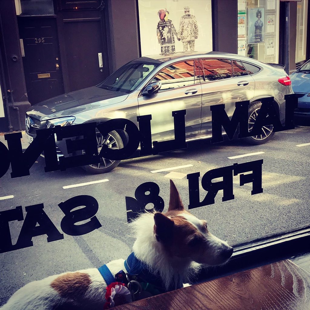 NewsfromBedlam's tweet photo. #Brian #HoundofBedlam took his #Kennington #curtaincall at the #NorthLambethparishfete #StAnselmsFestival in #CleaverSquare today.
It was as much a surprise to him as us that he now qualifies for the “Veteran” category, at 7yrs old. 
I cost him being placed in Agility, at which.. https://t.co/oSd7Fql7oP