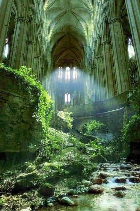 redhistoria's tweet photo. Interior de la iglesia abandonada de St. Etienne le Vieux. Caen (Francia) https://t.co/aBZXnrJEOd