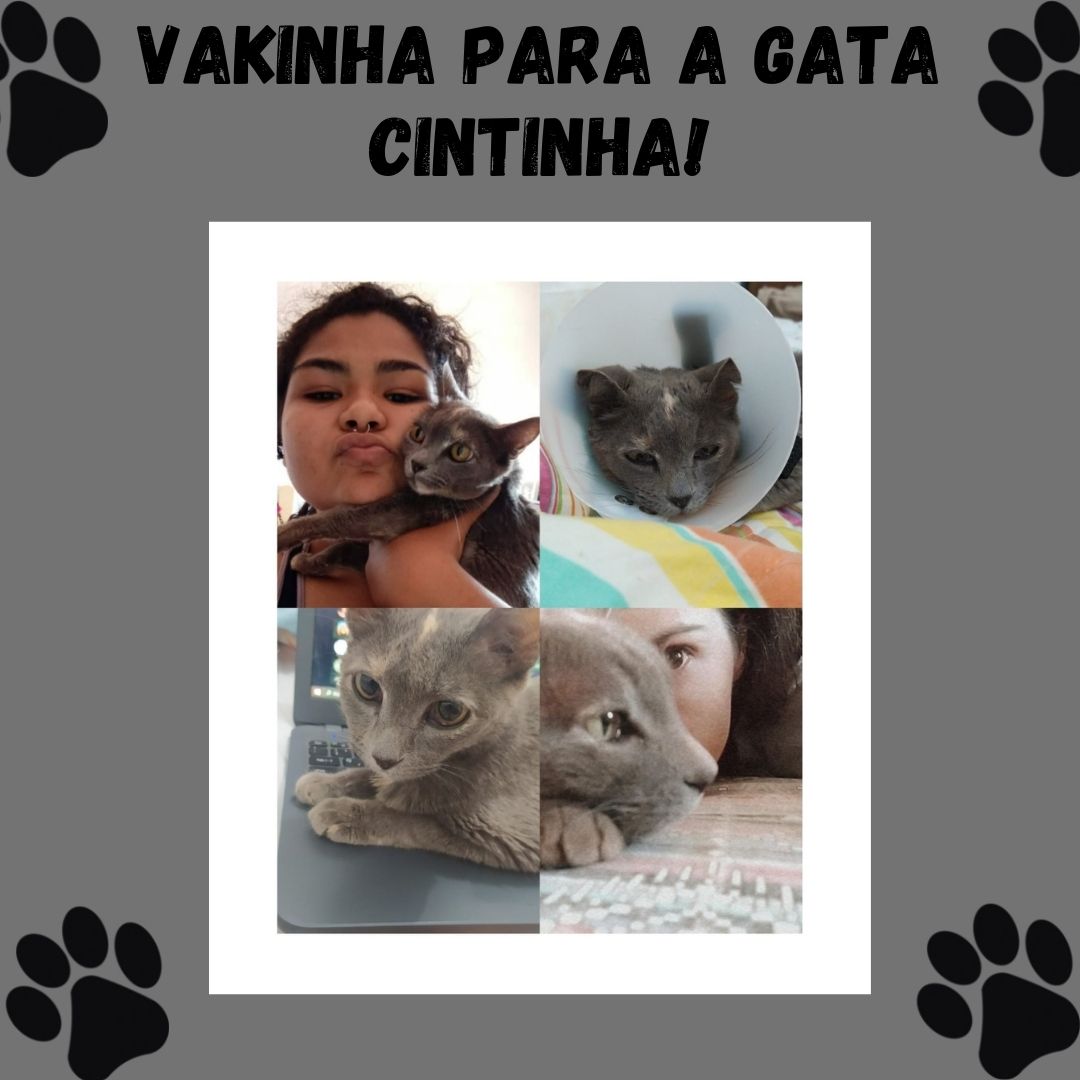 ladykillersubs's tweet image. Galera, hoje viemos pedir a ajuda de vocês!

Essa é a gata Cintinha! Ela teve que passar por um cirurgia de urgência para retirada de um tumor e agora precisam arcar com os gastos.

Seja doando ou divulgando, por favor, ajudem!

Link da vaquinha: vaka.me/2375496?utm_ca…