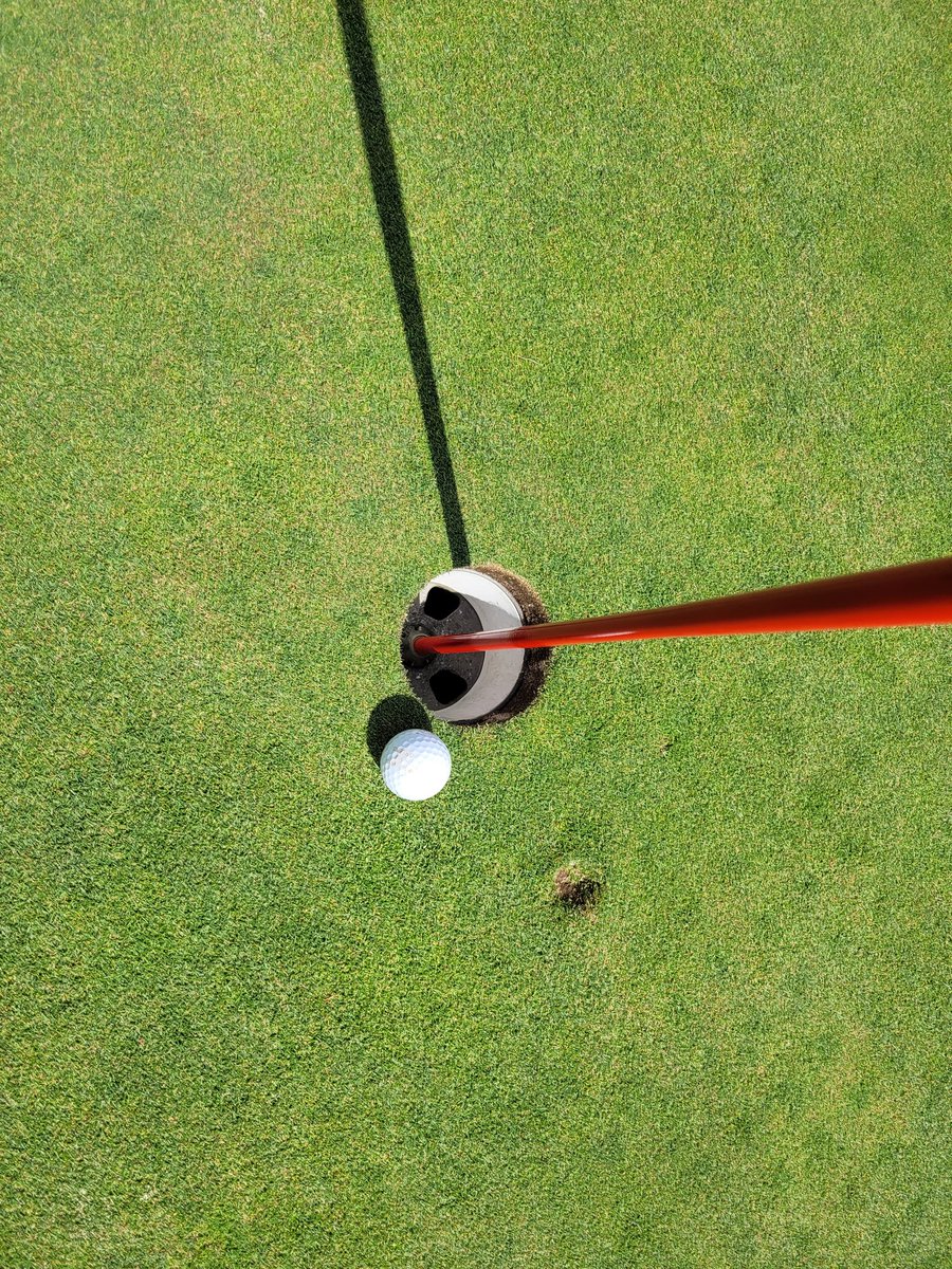 ParsA_GoodScore's tweet photo. I've never had a hole in one, I did have one lip out and finish 4 feet away, but today on #4 at the club, it doesn't get any closer than this....I don't know how it didn't go in! https://t.co/HzqWnaAYXH
