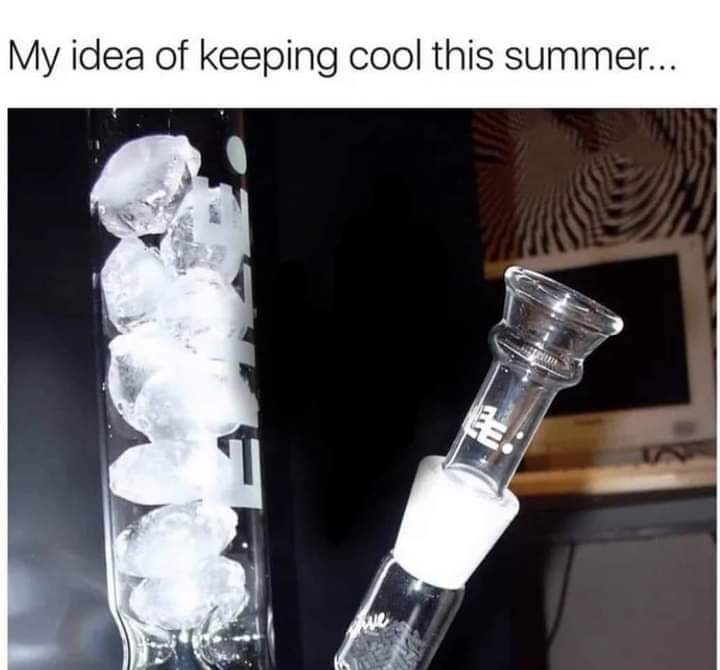 RefaBurnz's tweet photo. 😉Hope you're having a fabulous weekend🌿💨💨💚 https://t.co/4bbpcf8mZb