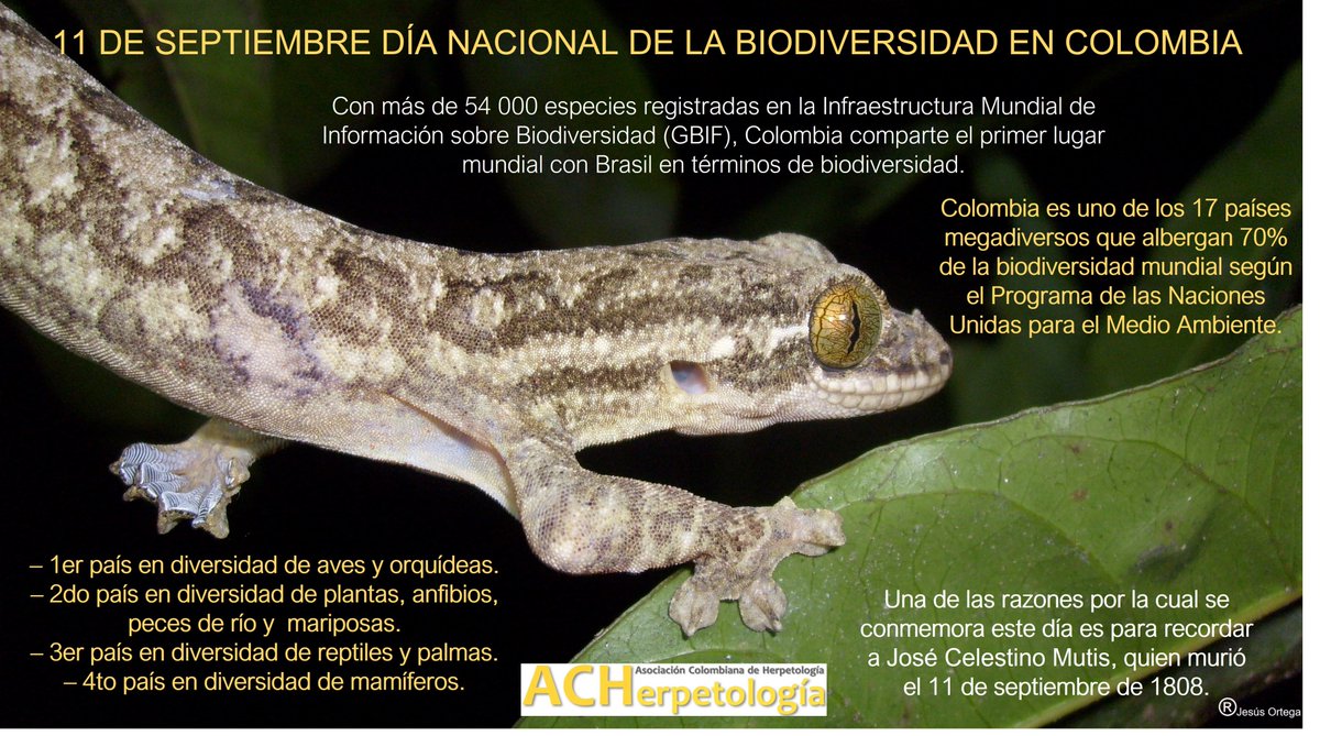 ACHerpetos's tweet photo. Porque no somos ajenos a nuestra gran riqueza y diversidad, hoy conmemoramos el Día Nacional de la Biodiversidad. https://t.co/YmBeaCtCgk