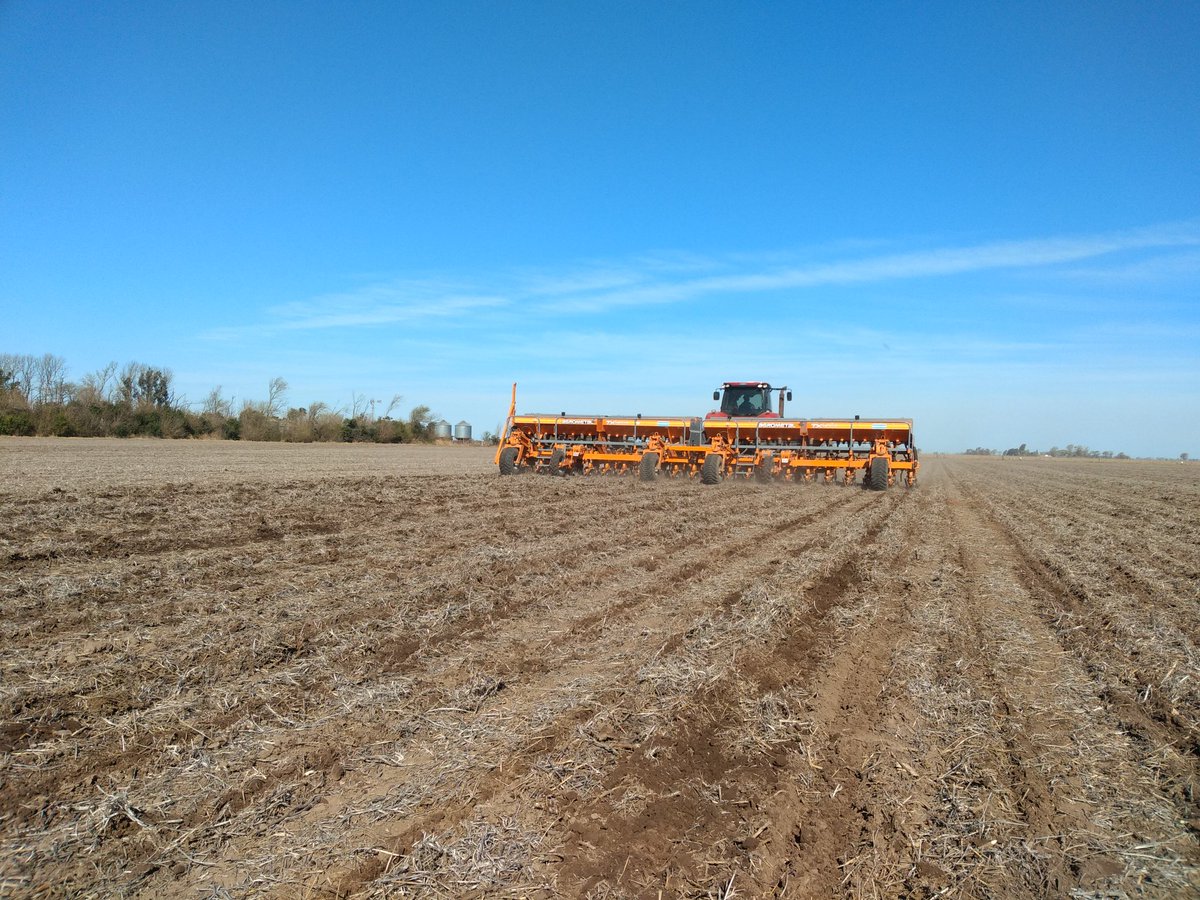 andreshadoc's tweet photo. Arrancó la siembra de maíz! #Variando densidad @gis_ursula. Equipo de #DonAdelquiAgropecuaria Gödeken, #SStaFe.
@PPlantingARG
@AFASCL https://t.co/ENJWTFdFUW