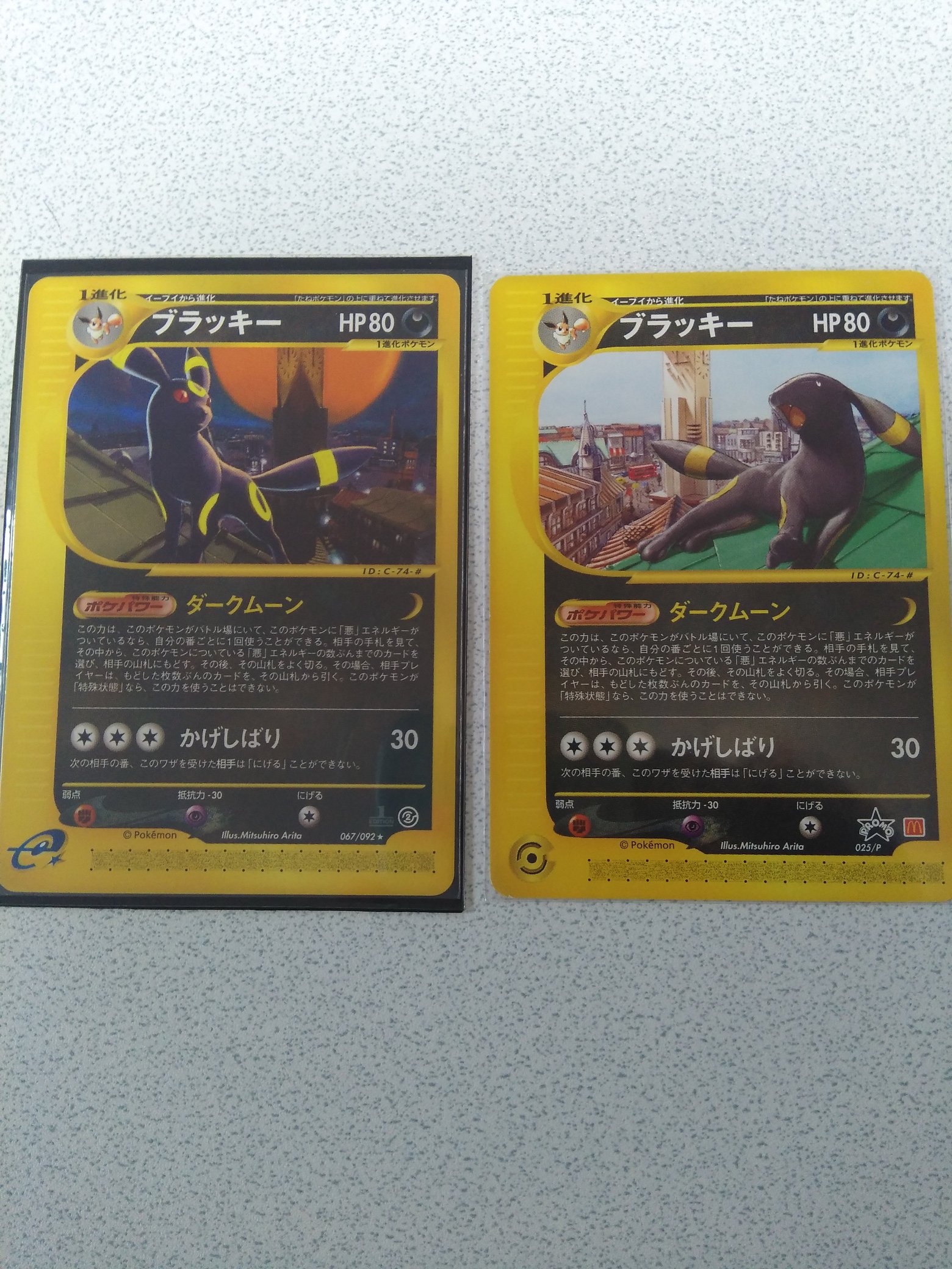 ポケモンカード　カイオーガ　グラードン　有田満弘 コレクションファイル ポケモンカード コレクションファイル 有田満弘デザイン