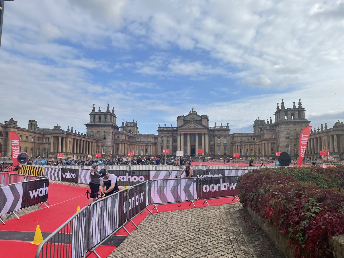 𝓓𝓪𝓷𝓲 𝓜𝓾𝓰𝓻𝓲𝓭𝓰𝓮 🏃‍♀️🏐🌞 tweet media