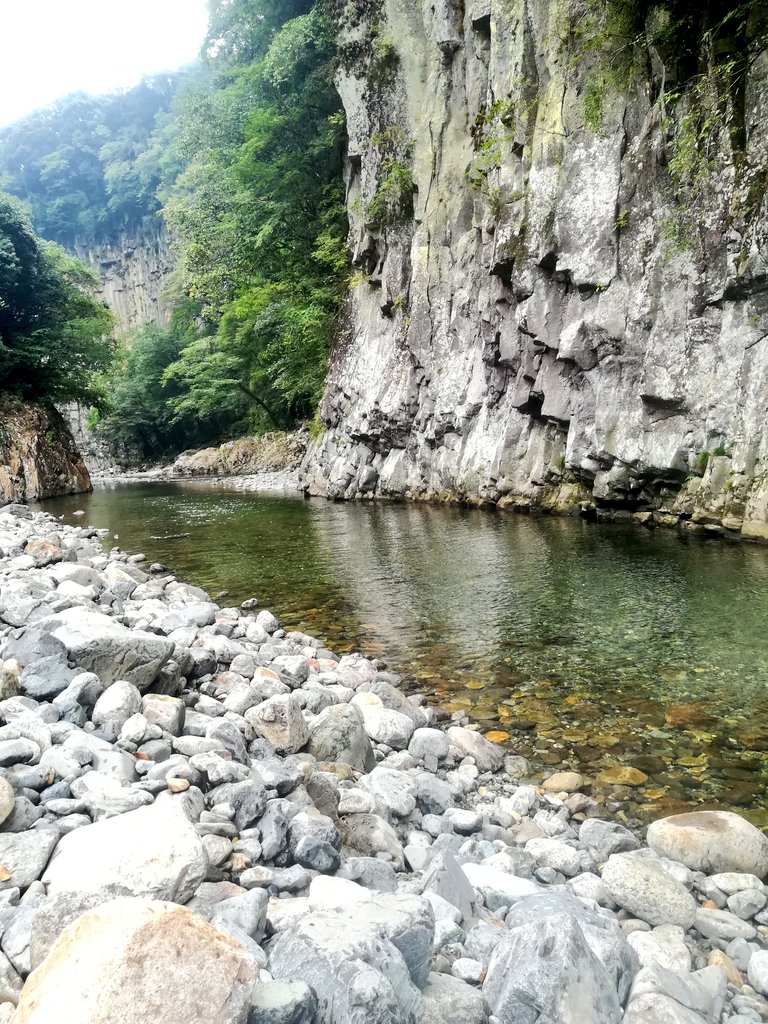 Re69831's tweet photo. 清らかな流れ、断崖の柱状節理、見上げた先の奥嶽橋へ何度も視線を巡らせ、「緑が紅く染まった景色もきっと綺麗だろうなぁ…🍁」また行こっと♪

帯迫峡　豊後大野市緒方町 https://t.co/1pyw2aVy8Y