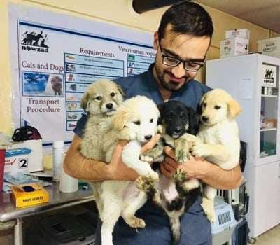 domdyer70's tweet image. Slept first full nights sleep in nearly a month knowing they will all soon be safely in UK along with the animals they care so much for. Care &amp;amp; compassion for people &amp;amp; animals won through in the end, thank you all for helping making this happen @PenFarthing @Nowzad #OperationArk