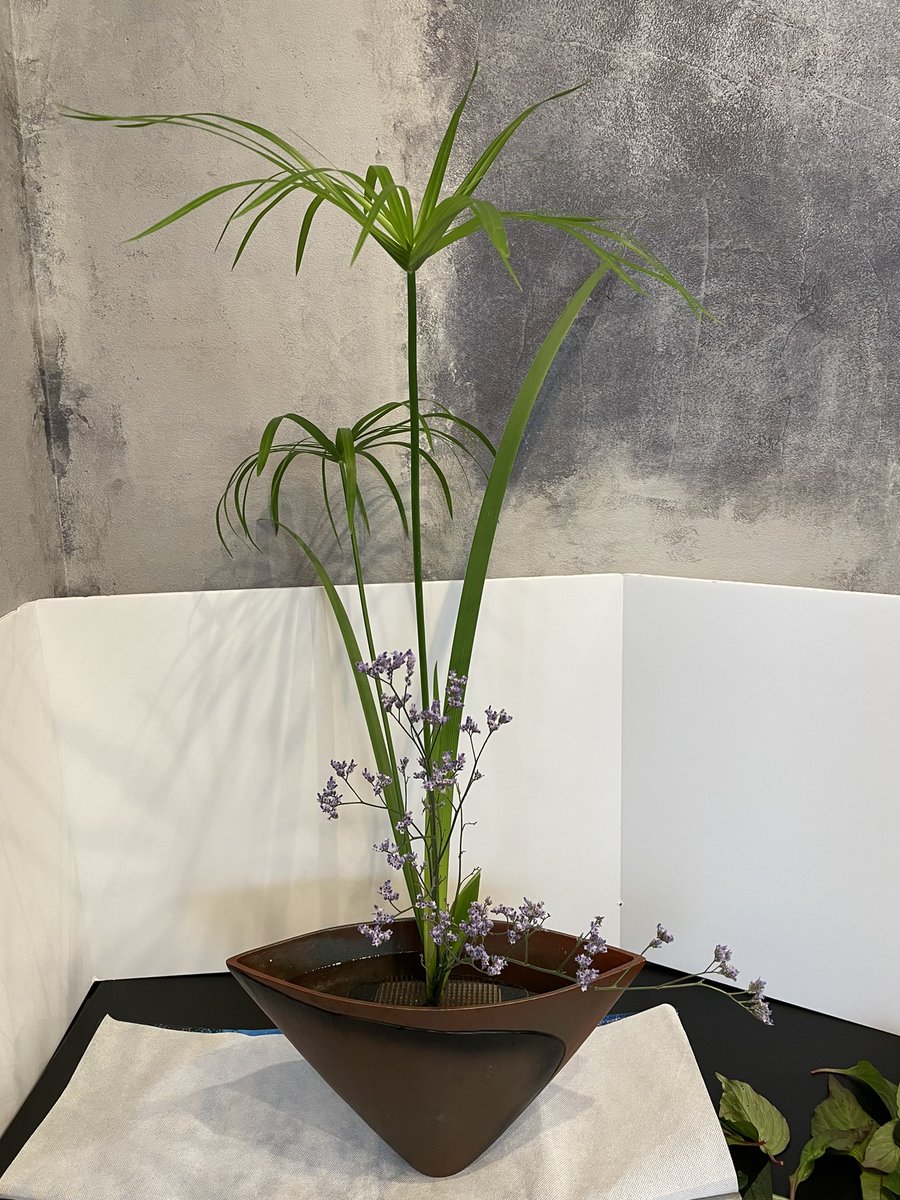 M S Lily エムズリリー Mslily Twitter