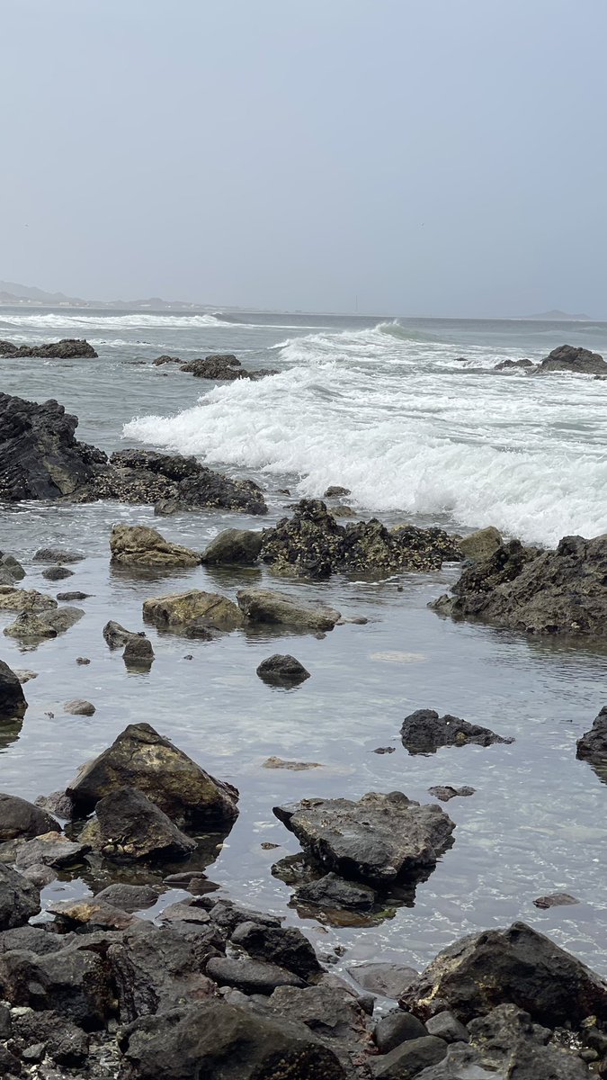 - وبِك أصبحنا يَـ الله💛ّ.📸