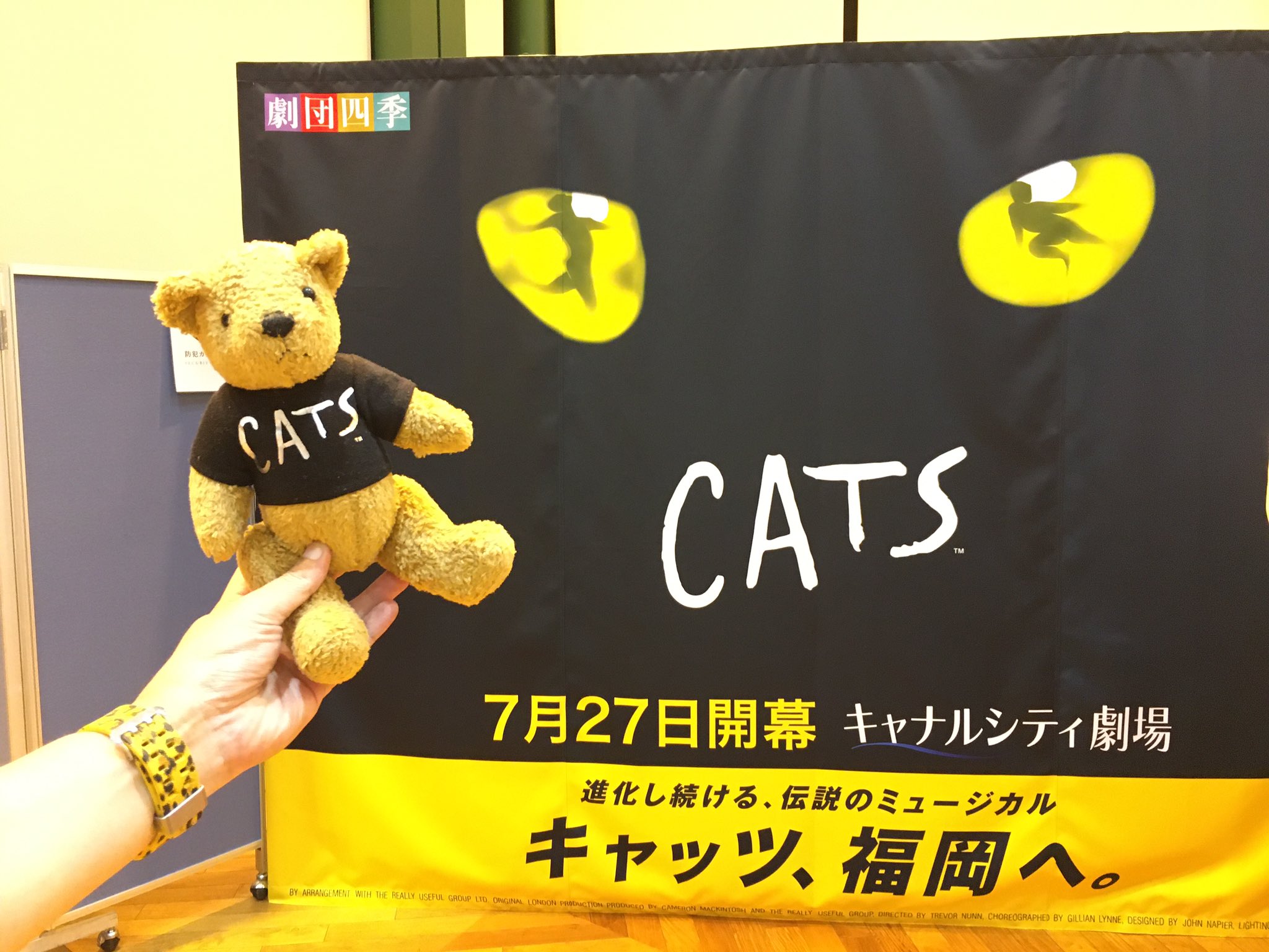 あっちゃふん 終演後 ポスターの前でウチのキャッツくまちゃんたちをパチリ マスコットサイズのスキンブルシャンクスとミストフェリーズは 声かけられた見知らぬお姉さんのカメラでも撮られました T Co Prkjs5del3 Twitter