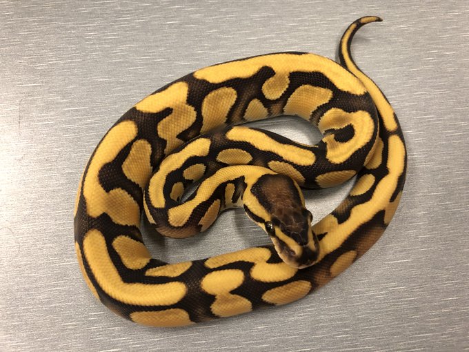 こう さん の人気ツイート 5 Whotwi グラフィカルtwitter分析