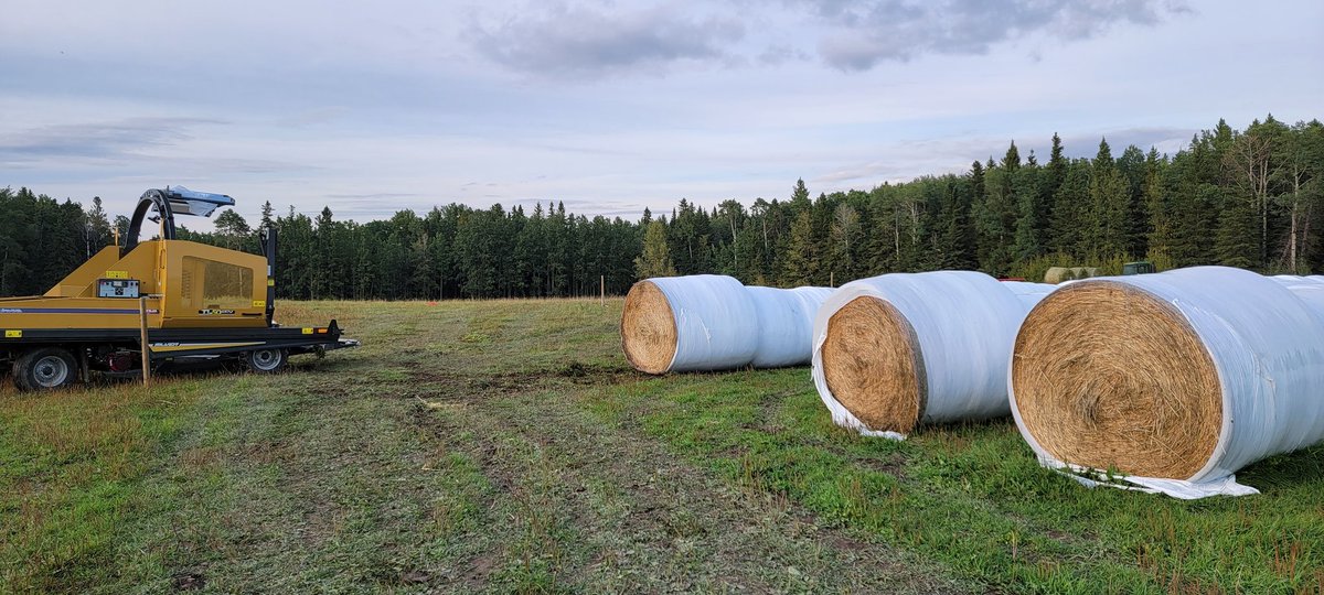 Now these boys know what they are doing!