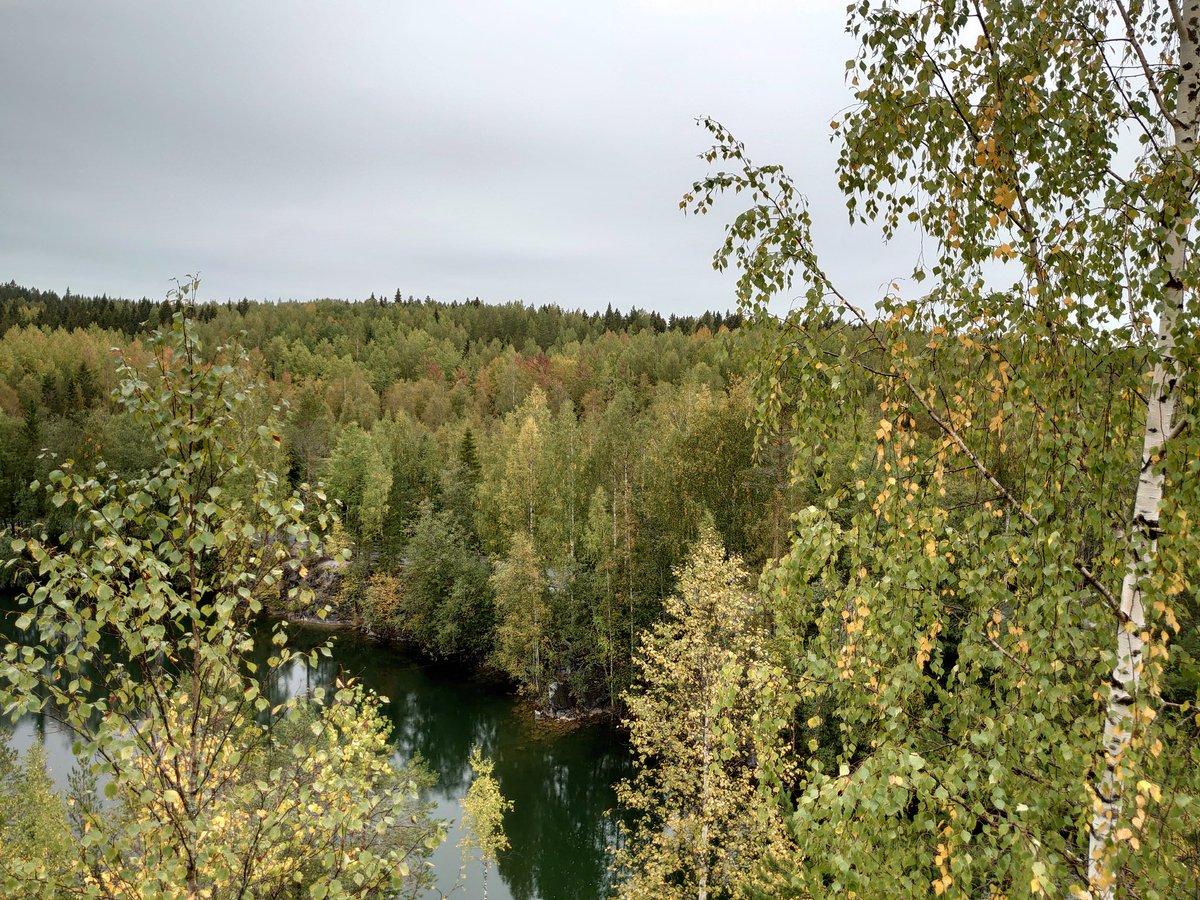 Природа севера прекрасна ,но когда человек пытается ее облагородить теряется красота настоящего .
