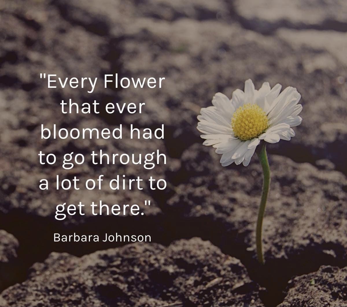 In case you wondered ?