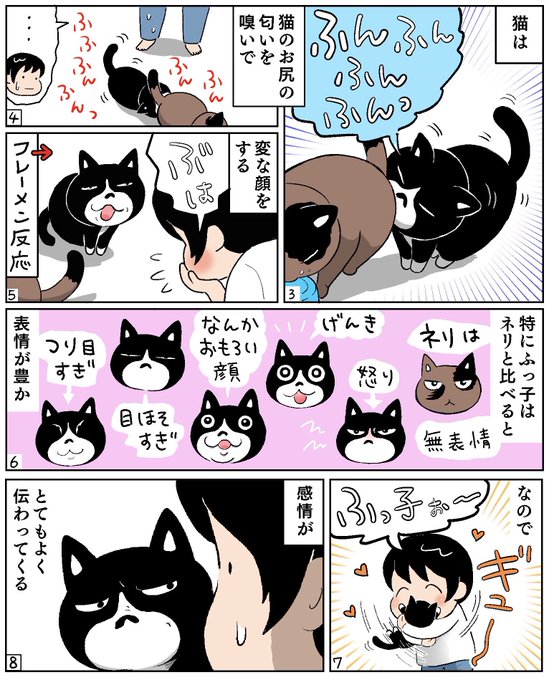 9月号のねこ新聞届きました〜。
今回は「表情」について描きました。うちのハチワレは感情がそのまま顔に出る猫で、ふとした瞬間にとても味わい深い顔をしていました。
#猫マンガ #ハチワレ #サビ猫 