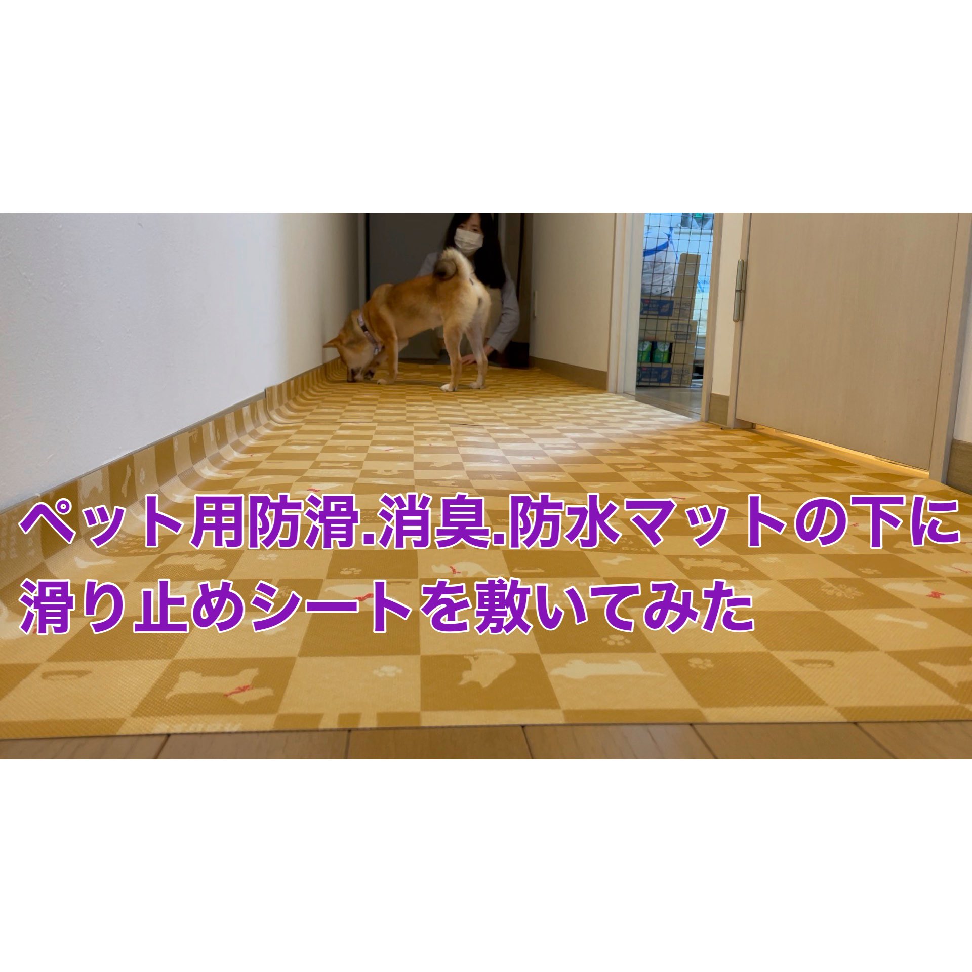 腸閉塞の柴犬好きルルママ ペット用防滑 消臭 防水マットの下に 滑り止めシートを敷いた 23話 ルルとのの 膝を守って運動 滑り止めシートは１００均 T Co 4vtoylvcu2 ペット用マット 柴犬 防滑マット 消臭マット 滑り止めシート ペット用と