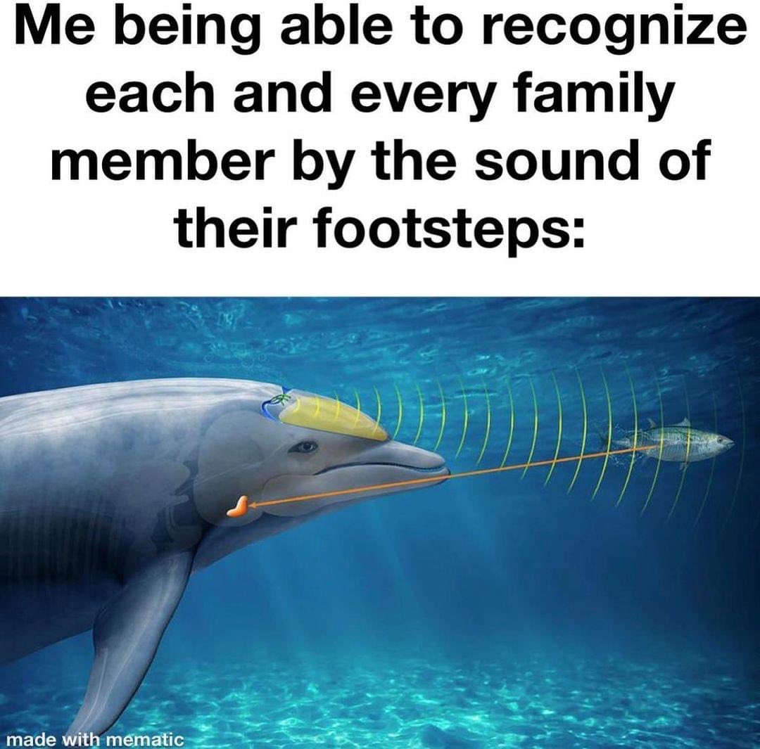 WholesomeMemes (@wholesomememe) on Twitter photo 